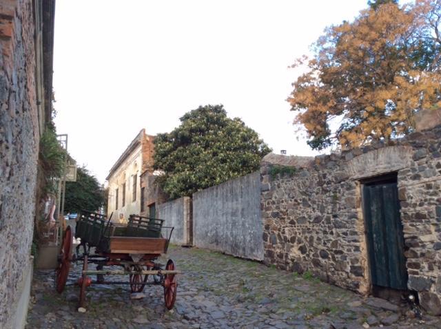 El Patio De Las Glicinas Colonia del Sacramento Zewnętrze zdjęcie