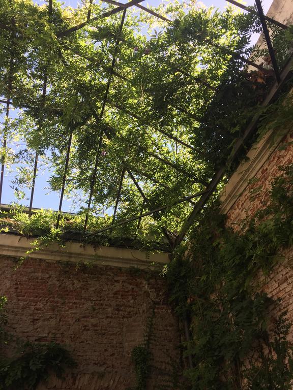 El Patio De Las Glicinas Colonia del Sacramento Zewnętrze zdjęcie